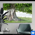 Acrylglasbild Alte Linde Auf Sommerwiese Querformat Produktvorschau mit dem Bild Alte Linde auf Sommerwiese im Format Querformat.