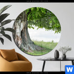 Acrylglasbild Alte Linde Auf Sommerwiese Rund Produktvorschau mit dem Bild Alte Linde auf Sommerwiese im Format Rund.