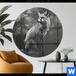 Acrylglasbild Anmutiger Fuchs Rund Produktvorschau mit dem Bild Anmutiger Fuchs im Format Rund.