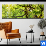Acrylglasbild Baumkrone Einer Buche Panorama Produktvorschau mit dem Bild Baumkrone einer Buche im Format Panorama.