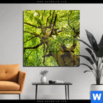 Acrylglasbild Baumkrone Einer Buche Quadrat Produktvorschau mit dem Bild Baumkrone einer Buche im Format Quadrat.