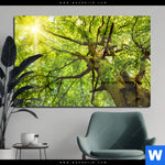 Acrylglasbild Baumkrone Einer Buche Querformat Produktvorschau mit dem Bild Baumkrone einer Buche im Format Querformat.