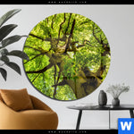 Acrylglasbild Baumkrone Einer Buche Rund Produktvorschau mit dem Bild Baumkrone einer Buche im Format Rund.