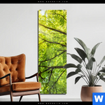 Acrylglasbild Baumkrone Einer Buche Schmal Produktvorschau mit dem Bild Baumkrone einer Buche im Format Schmal.