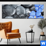 Acrylglasbild Blaue Blume Graue Steine Panorama Produktvorschau mit dem Bild Blaue Blume & Graue Steine im Format Panorama.