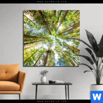 Acrylglasbild Blick In Baumkronen Quadrat Produktvorschau mit dem Bild Blick in Baumkronen im Format Quadrat.