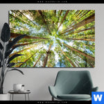 Acrylglasbild Blick In Baumkronen Querformat Produktvorschau mit dem Bild Blick in Baumkronen im Format Querformat.