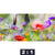 Acrylglasbild Blumenwiese Mit Schmetterlingen Querformat Motivorschau Seitenverhaeltnis 2 1