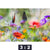 Acrylglasbild Blumenwiese Mit Schmetterlingen Querformat Motivorschau Seitenverhaeltnis 3 2
