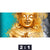 Acrylglasbild Buddha Gold Tuerkis Querformat Motivorschau Seitenverhaeltnis 2 1