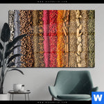 Acrylglasbild Bunte Gewuerze Querformat Produktvorschau mit dem Bild Bunte Gewürze im Format Querformat.