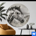 Acrylglasbild Das Pferd Wild Schoen Rund Produktvorschau mit dem Bild Das Pferd - wild & schön im Format Rund.