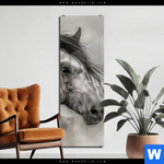 Acrylglasbild Das Pferd Wild Schoen Schmal Produktvorschau mit dem Bild Das Pferd - wild & schön im Format Schmal.