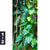 Acrylglasbild Der Dschungel Hochformat Motivorschau Seitenverhaeltnis 1 2