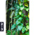 Acrylglasbild Der Dschungel Hochformat Motivorschau Seitenverhaeltnis 2 3