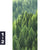 Acrylglasbild Der Wald Hochformat Motivorschau Seitenverhaeltnis 1 2