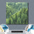 Acrylglasbild Der Wald Quadrat Materialbild