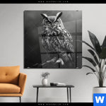 Acrylglasbild Duestere Eleganz Der Eule Quadrat Produktvorschau mit dem Bild Düstere Eleganz der Eule im Format Quadrat.