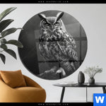 Acrylglasbild Duestere Eleganz Der Eule Rund Produktvorschau mit dem Bild Düstere Eleganz der Eule im Format Rund.