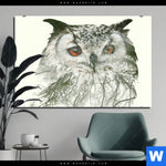 Acrylglasbild Eule Wald No 1 Querformat Produktvorschau mit dem Bild Eule & Wald No.1 im Format Querformat.