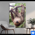 Acrylglasbild Faultier Streckt Zunge Raus Hochformat Produktvorschau mit dem Bild Faultier streckt Zunge raus im Format Hochformat.