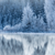 Acrylglasbild Frostiger Wald Panorama
