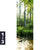 Acrylglasbild Herbstlicher Wald Schmal Motivorschau Seitenverhaeltnis 1 3