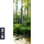Acrylglasbild Herbstlicher Wald Schmal Motivorschau Seitenverhaeltnis 2 5
