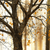 Acrylglasbild Herbstspaziergang Querformat