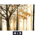 Acrylglasbild Herbstspaziergang Querformat Motivorschau Seitenverhaeltnis 4 3