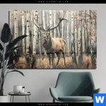 Acrylglasbild Hirsch Im Birkenwald Querformat Produktvorschau mit dem Bild Hirsch im Birkenwald im Format Querformat.