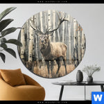 Acrylglasbild Hirsch Im Birkenwald Rund Produktvorschau mit dem Bild Hirsch im Birkenwald im Format Rund.