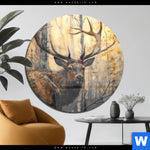 Acrylglasbild Hirsch Im Morgenlicht Rund Produktvorschau mit dem Bild Hirsch im Morgenlicht im Format Rund.