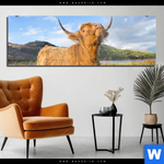 Acrylglasbild Hochland Bulle Panorama Produktvorschau mit dem Bild Hochland-Bulle im Format Panorama.