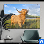 Acrylglasbild Hochland Bulle Querformat Produktvorschau mit dem Bild Hochland-Bulle im Format Querformat.