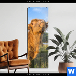 Acrylglasbild Hochland Bulle Schmal Produktvorschau mit dem Bild Hochland-Bulle im Format Schmal.