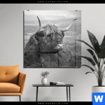 Acrylglasbild Hochland Rind Schwarz Weiss No 2 Quadrat Produktvorschau mit dem Bild Hochland-Rind Schwarz-Weiß No. 2 im Format Quadrat.