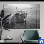Acrylglasbild Hochland Rind Schwarz Weiss No 2 Querformat Produktvorschau mit dem Bild Hochland-Rind Schwarz-Weiß No. 2 im Format Querformat.