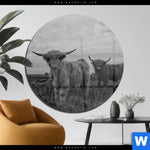 Acrylglasbild Hochland Rind Schwarz Weiss Rund Produktvorschau mit dem Bild Hochland-Rind Schwarz-Weiß im Format Rund.