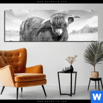 Acrylglasbild Hochlandkuh Auf Einer Wiese Panorama Produktvorschau mit dem Bild Hochlandkuh auf einer Wiese im Format Panorama.