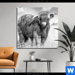 Acrylglasbild Hochlandkuh Auf Einer Wiese Quadrat Produktvorschau mit dem Bild Hochlandkuh auf einer Wiese im Format Quadrat.