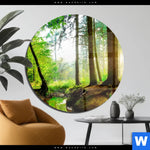 Acrylglasbild Idyllischer Wald Bei Sonnenaufgang Rund Produktvorschau mit dem Bild Idyllischer Wald bei Sonnenaufgang im Format Rund.