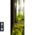Acrylglasbild Im Tiefen Wald Schmal Motivorschau Seitenverhaeltnis 2 5