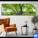 Acrylglasbild Imposanter Baum Panorama Produktvorschau mit dem Bild Imposanter Baum im Format Panorama.