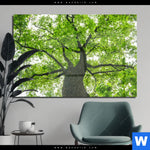Acrylglasbild Imposanter Baum Querformat Produktvorschau mit dem Bild Imposanter Baum im Format Querformat.