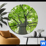 Acrylglasbild Imposanter Baum Rund Produktvorschau mit dem Bild Imposanter Baum im Format Rund.