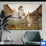 Acrylglasbild Kaempfende Hirsche Querformat Produktvorschau mit dem Bild Kämpfende Hirsche im Format Querformat.