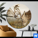 Acrylglasbild Kaempfende Hirsche Rund Produktvorschau mit dem Bild Kämpfende Hirsche im Format Rund.
