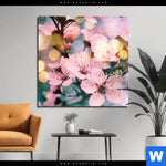 Acrylglasbild Kirschblueten Im Fruehlingslicht Quadrat Produktvorschau mit dem Bild Kirschblüten im Frühlingslicht im Format Quadrat.