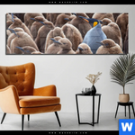 Acrylglasbild Koenigspinguine Panorama Produktvorschau mit dem Bild Königspinguine im Format Panorama.